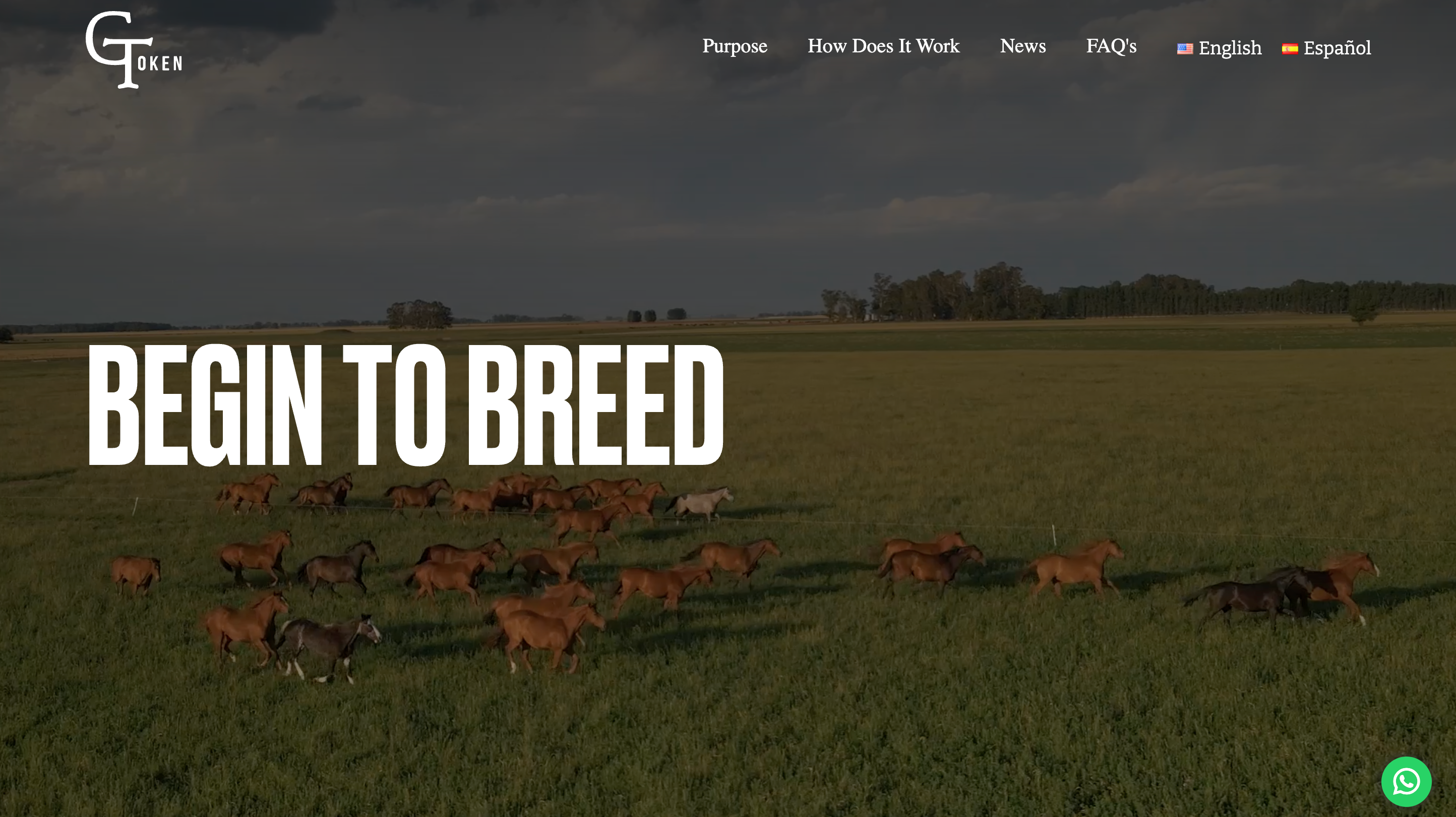 GToken tokenized racing horses