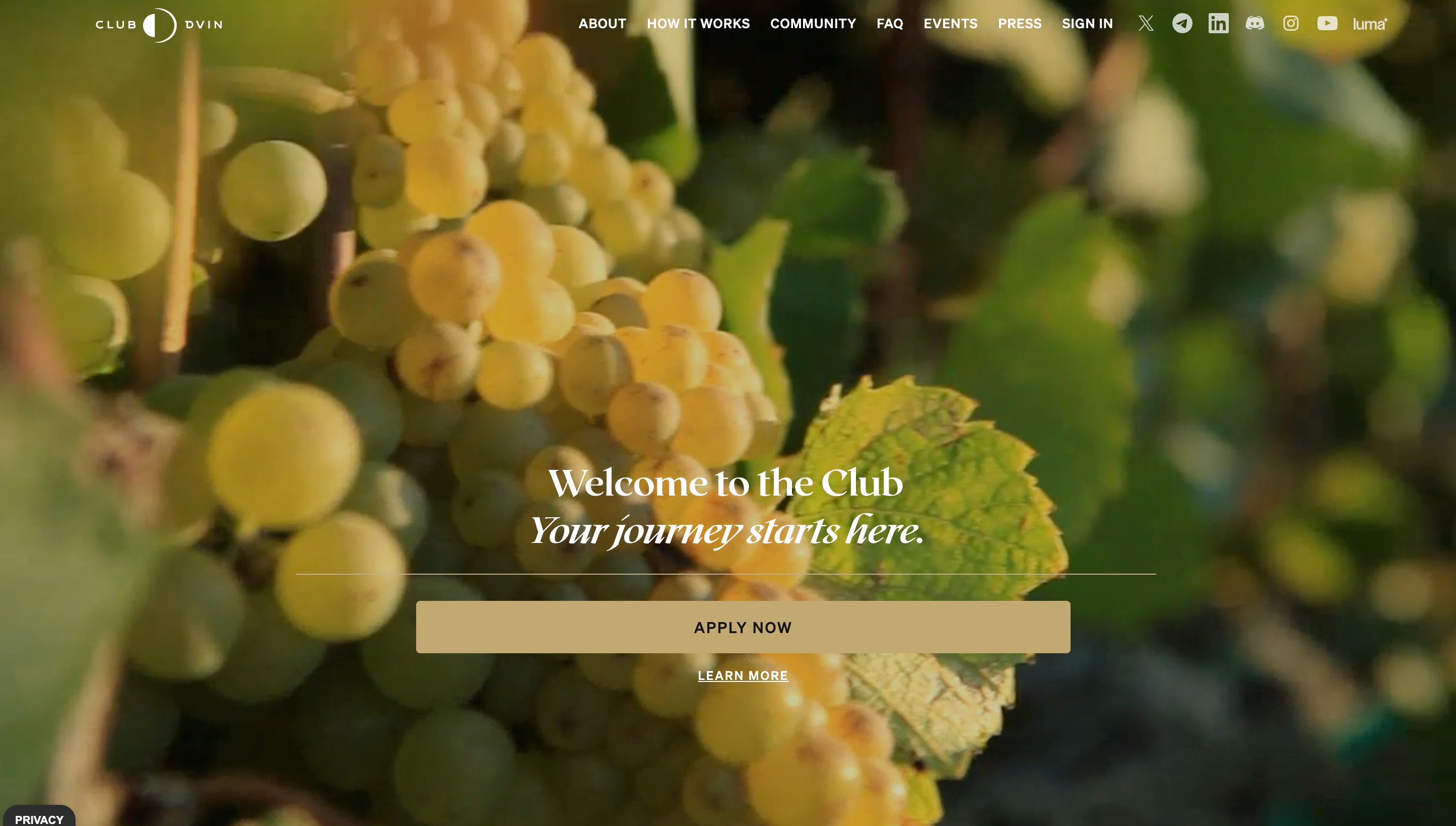 dVIN tokenized wine