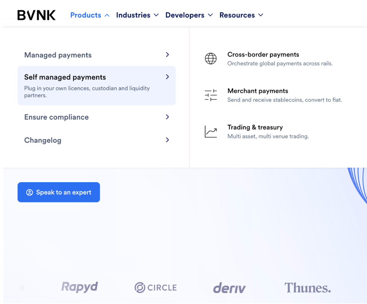 This image shows the variety of products by BVNK.