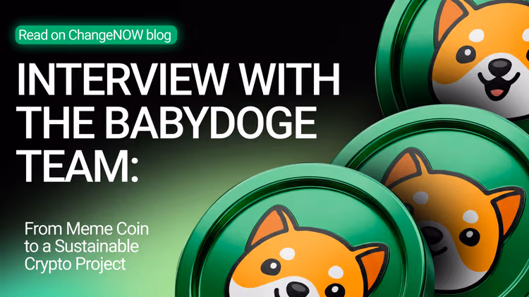 Interview with the BabyDoge Team: From Meme Coin to a Sustainable Crypto Project