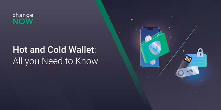 06.05 Hot and Cold Wallet - All you Need to Know.png