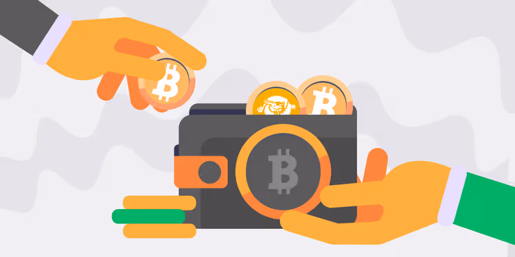 Best Bitcoin SV Wallets (2020) | ChangeNOW Crypto Exchange