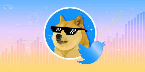 04.11 How changing the Twitter logo can affect Meme Coins.png